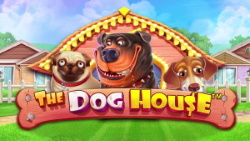 Doghouse slot