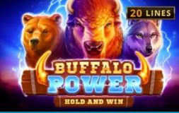Playson Buffalo Power