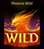 Playson Phoenix Fire wild