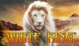 Playtech White King