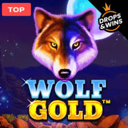 wolfgold slot